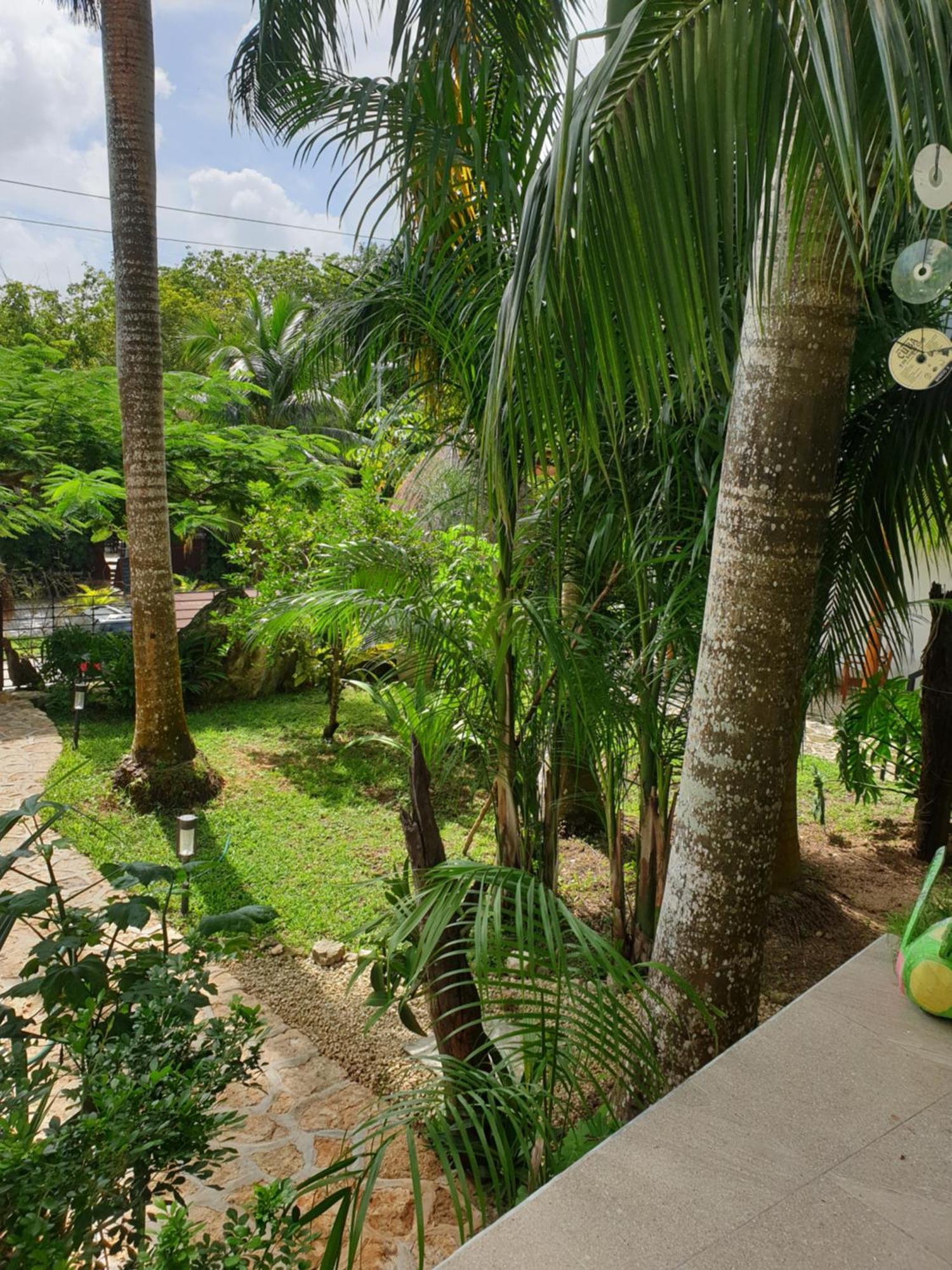 Camino Del Alma Apartments باكالار الغرفة الصورة